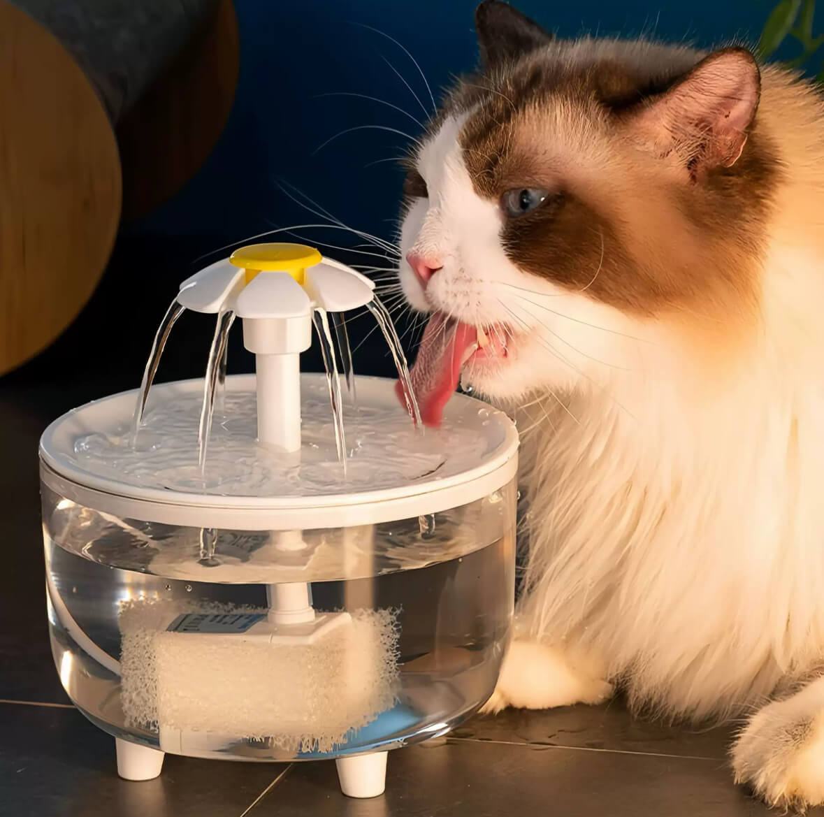 Cat water dispenser